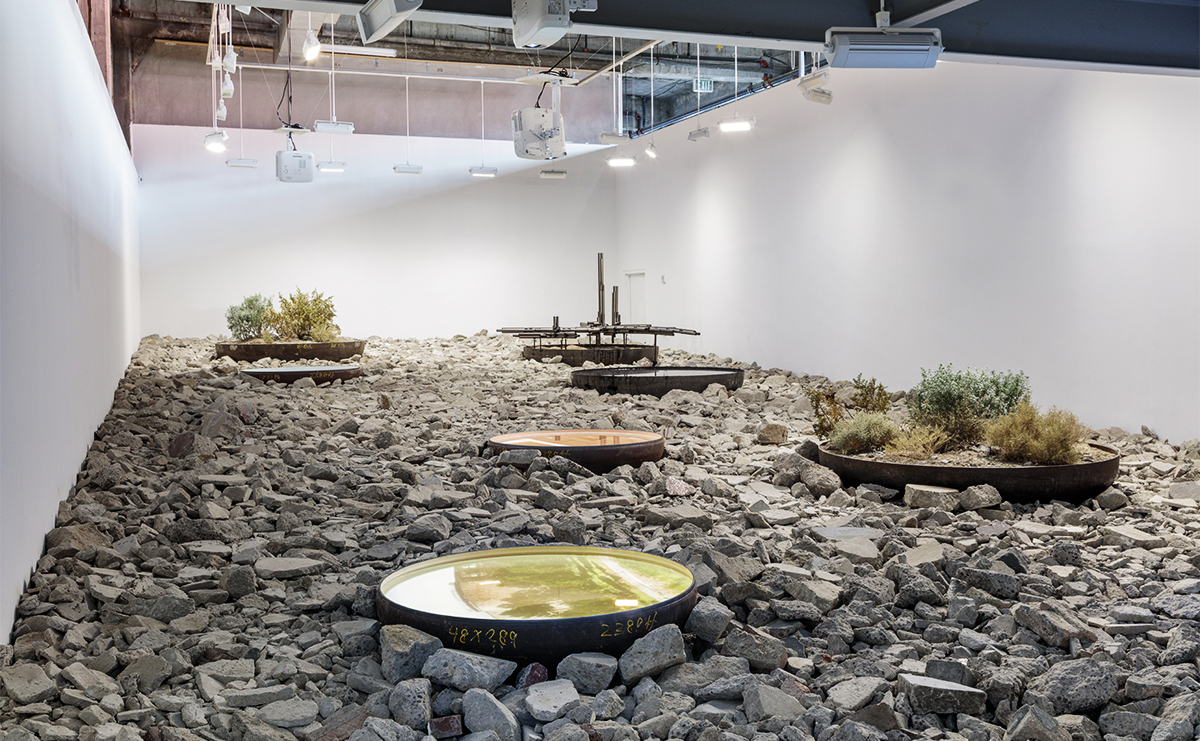 Environment[al] Exhibition